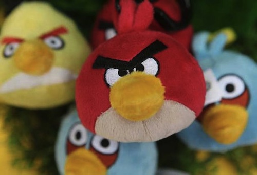 Angry Angry Bird