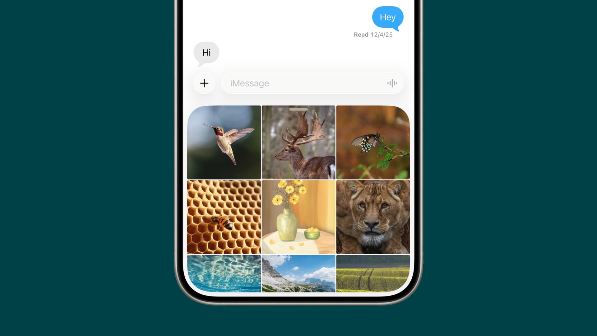 Fix photo picker not showing in iPhone Messages app