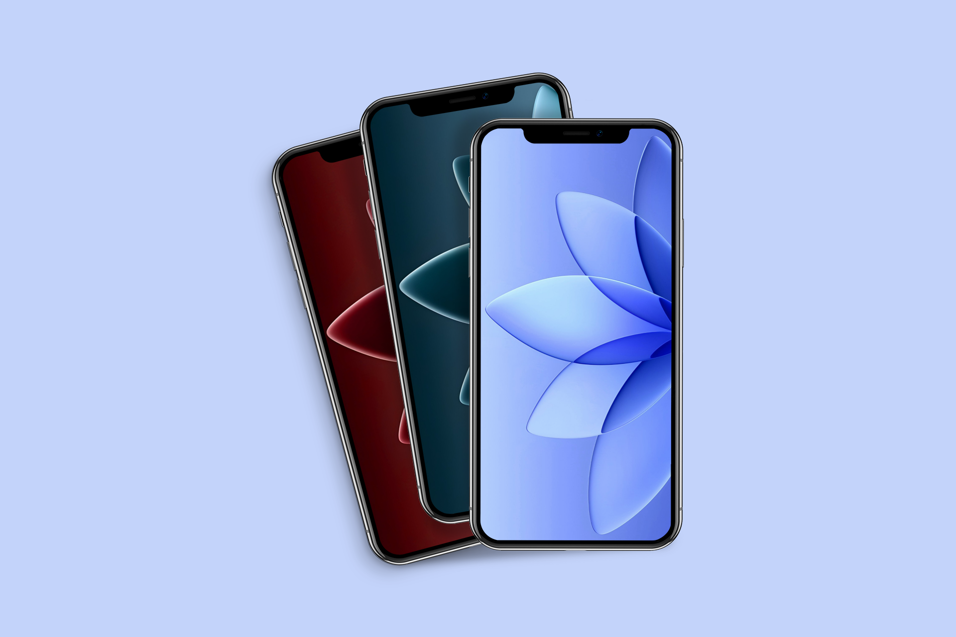 Gradient glass flower petals wallpaper for iPhone