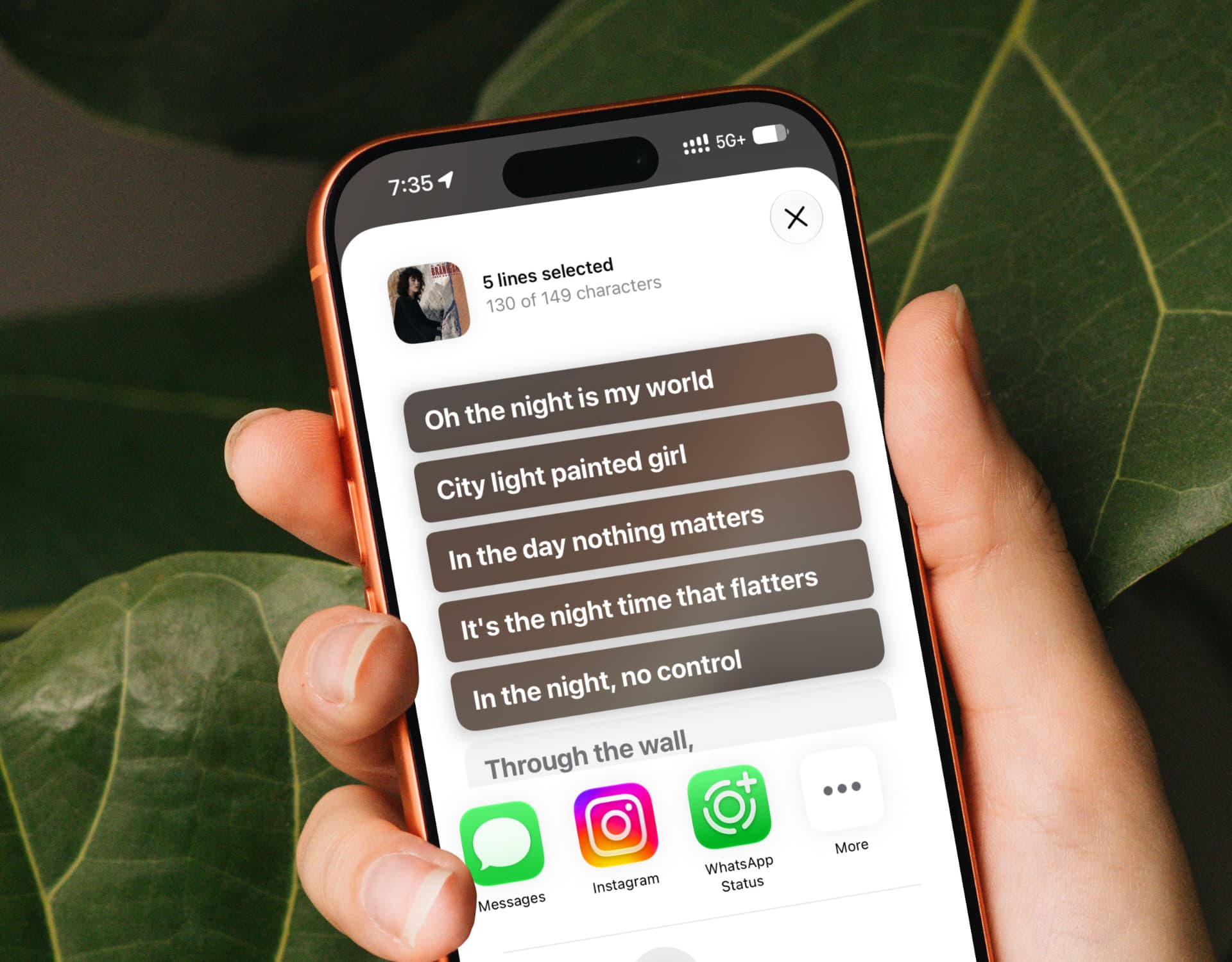 How to share Apple Music song lyrics to your WhatsApp Status